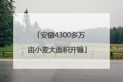 安徽4300多万亩小麦大面积开镰